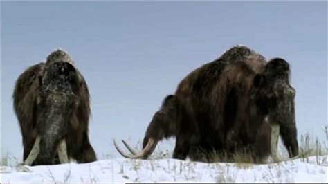 Walking With Beasts The Mammoth Journey Migrationsoundtrack Wwd 3d