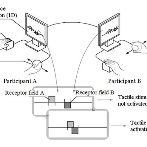 The Unidimensional Space Of Perceptual Interaction With The Mouse Of