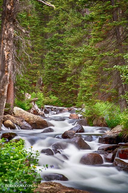 Mountain Stream Colorado Mountain Stream With Cascading Wa Flickr