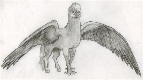 Harrypotterdrawings Hippogriff Harry Potter Drawing
