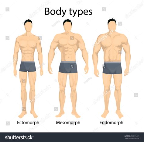Endomorph Body Type Athletic Collections Bigger Health