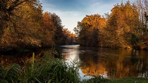 Download Wallpaper 2560x1440 Trees Lake Reflection Autumn Landscape