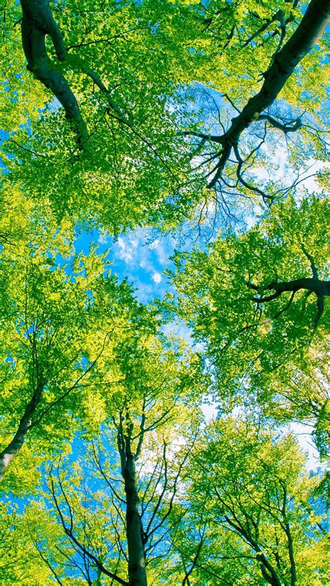 Under Green Trees htc one wallpaper - Best htc one wallpapers