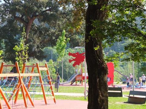 Viimeisimmät twiitit käyttäjältä sara moreira (@saritamoreira). Parque Infantil - Foto de Parque Urbano Sara Moreira ...