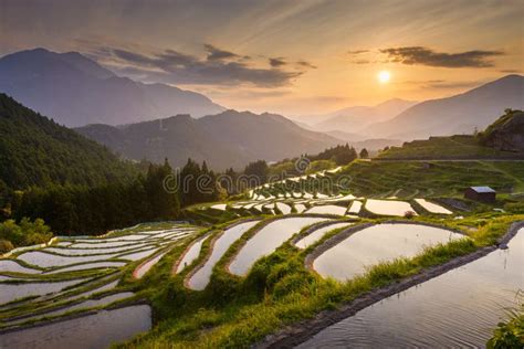 Rice Terraces At Sunset In Japan Stock Image Image Of Historic