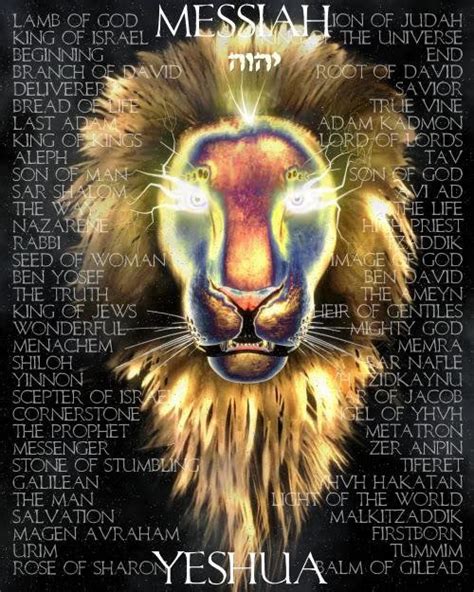 Love For His People Lion Of Judah A Beautiful Collection Of Artwork