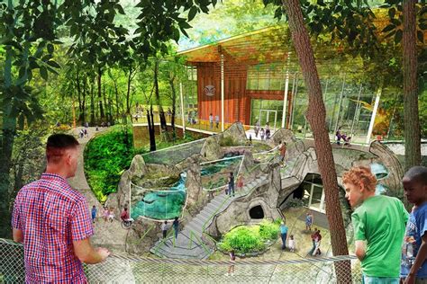 Discovery Place Nature Haizlip Studio In 2022 Kids Play Area Indoor