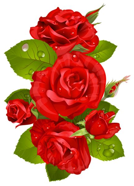Pink roses flower creative watercolor, drawing flower flower ps material,red flowers, pink petaled flowers, flower arranging, artificial flower, flower png; Rose PNG