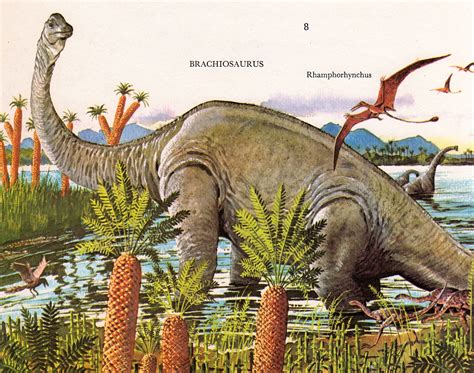 Love In The Time Of Chasmosaurs Vintage Dinosaur Art Album Of