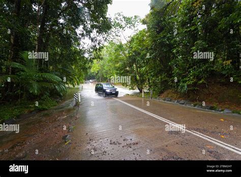 Flooded Road Climate River Rainforest Jungle Rain Flood Flooding