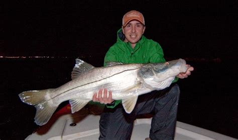 We did not find results for: 5 Shortcuts For Catching Snook In Florida Like A Pro.