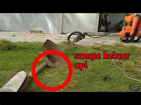 Sistem kami menemukan 25 jawaban utk pertanyaan tts pisau pemotong rumput. Mengasah pisau pakai alat pemotong rumput. Mudah dan hemat ...