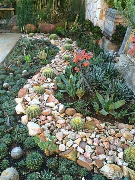 Cactus succulente et plante grasse: plantes grasses et cactus, design de pierres ondulant ...