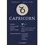 Capricorn Zodiac Sign  The Properties And Characteristics Of