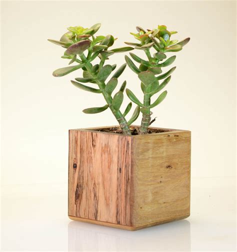 Succulent Planter Reclaimed Wood Indoor Planter Wood | Succulent planter, Wood succulent planter ...