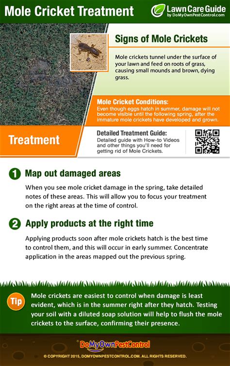 Pest control license requirements for all 50 states. How to Get Rid of Mole Crickets - Treatment & Control Guide