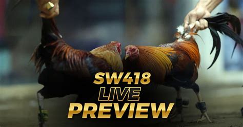 Latest Sw418 Live Sabong Review 2024 Go Perya