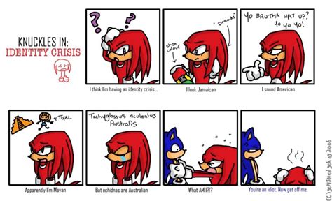 Poor Knuckles He Doesnt Know What He Is Sonic Funny Sonic