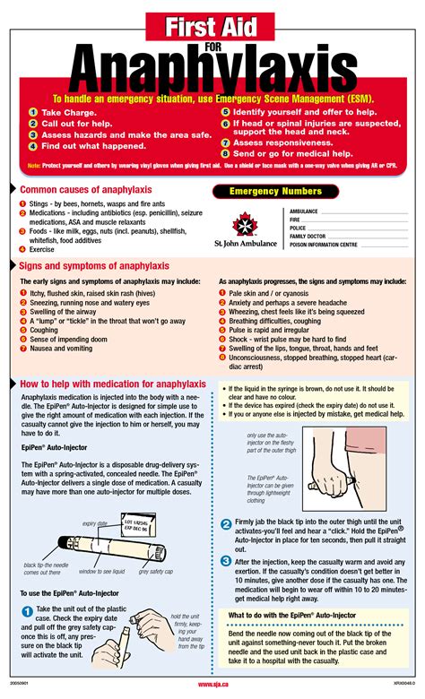 Anaphylaxis Poster First Aid Medical Knowledge Emergency Medicine