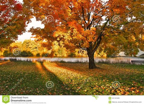 Autumn Stock Image Image Of Brilliant Spectacular