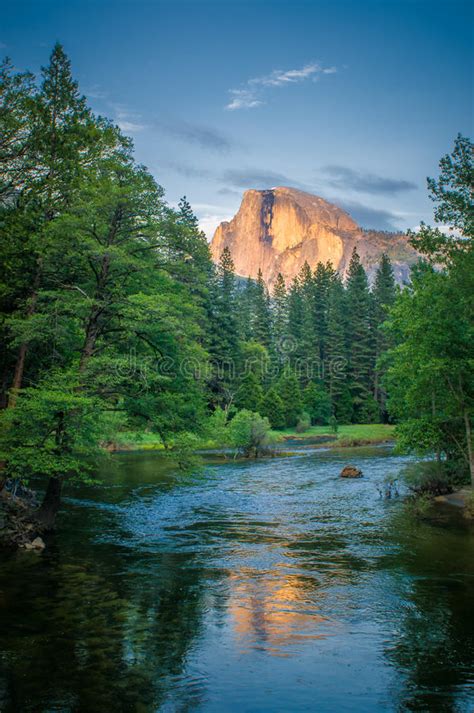 Yosemite National Park California Usa Stock Photo Image Of Trees