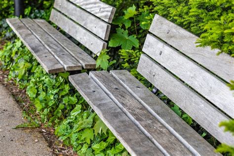 Free Photo High Angle Shot Of Two Wooden Benches Surrounded By