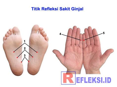 76 penyakit yang boleh di sembuhkan melalui kaedah bekam kursus asas bekam sunnah angin + darah ini terbuka kepada lelaki dan wanita yang berminat beberapa keping gambar koleksi bekam untuk dikongsikan bersama anda diluar sana tentang kebaikan bekam. Titik refleksi untuk mengobati penyakit batu ginjal, cara ...