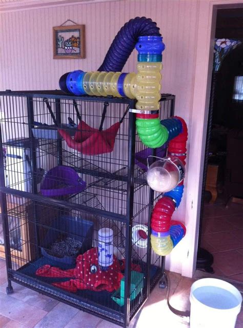 ferret cage with tubes syncro system bg
