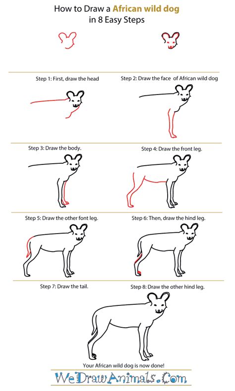 How To Draw An African Wild Dog