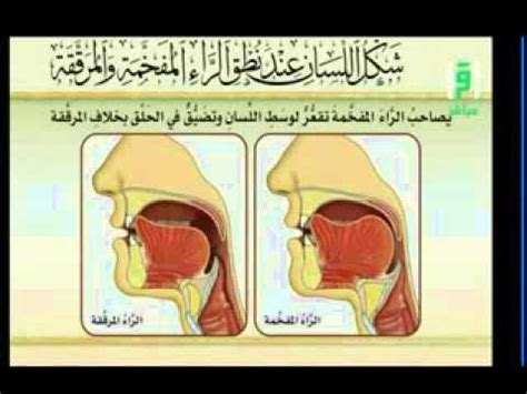 Check spelling or type a new query. شكل اللسان عند نطق (الراء المفخمة والمرققة) | Youtube ...