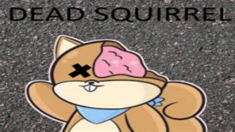 Dead Squirrel Meme Youtube