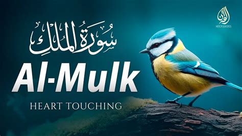 SURAH MULK سورة الملك THE KINGDOM BEAUTIFUL VOICE HEART TOUCHING