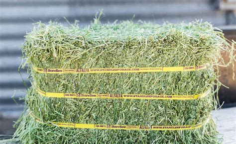 Certified Alfalfa Compressed Bale Standlee Forage