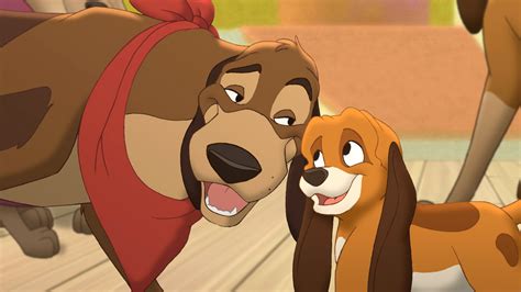The Fox And The Hound Wallpapers High Quality Download Free