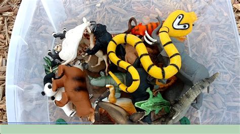 Playing Hide N Seek With Toy Zoo Safari Jungle Wild Toy Animals On