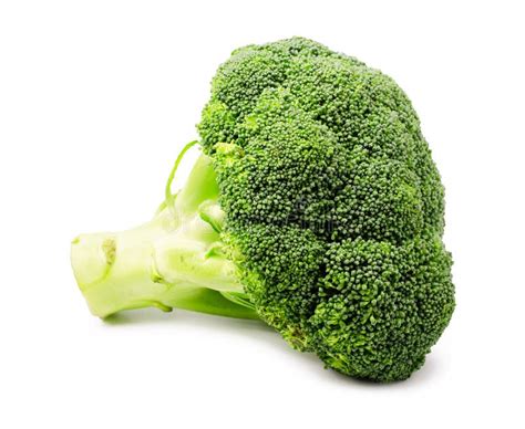 Fresh Green Broccoli Stock Image Image Of Cabbage Lifestyle 85918117