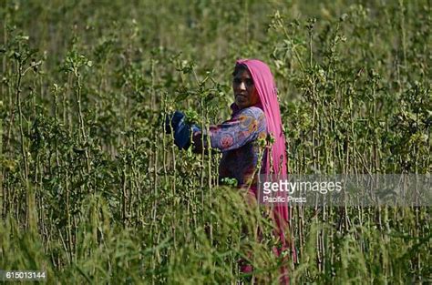 Lahorethe United Nations Photos And Premium High Res Pictures Getty Images