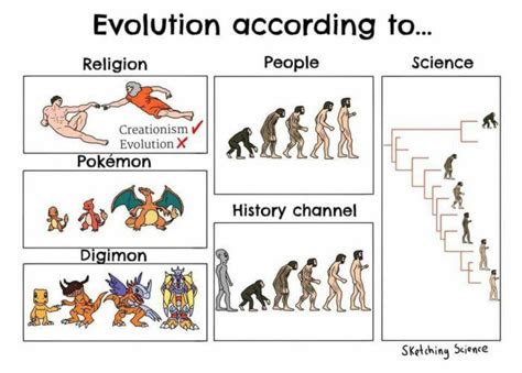Here Is The Evolution Funny Pictures Best Funny Pictures Science Jokes
