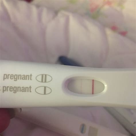 Pregnancy Tests Positive Pregnancywalls