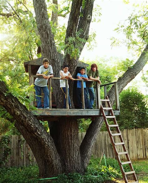 26 Best Ideas For Coloring Tree Houses For Kids