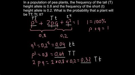 Answer key hardy weinberg problem set p2 + 2pq + q2 = 1 and p + q = 1 p = frequency of the dominant allele in the population q = frequency of the recessive allele in the population p2 = percentage of homozygous dominant individuals q2 = percentage of homozygous recessive individuals Hardy Weinberg Problem Set 1 + mvphip Answer Key