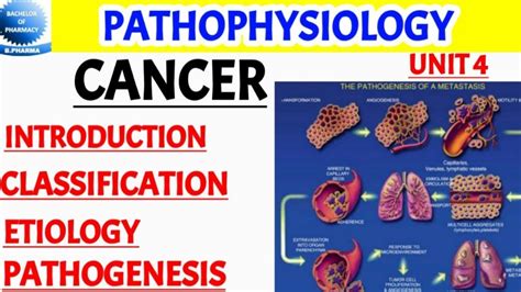 Classification Etiology And Pathogenesis Of Cancer Pharma Lectures