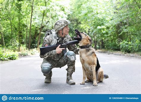 Man In Military Uniform With German Shepherd Dog Stock