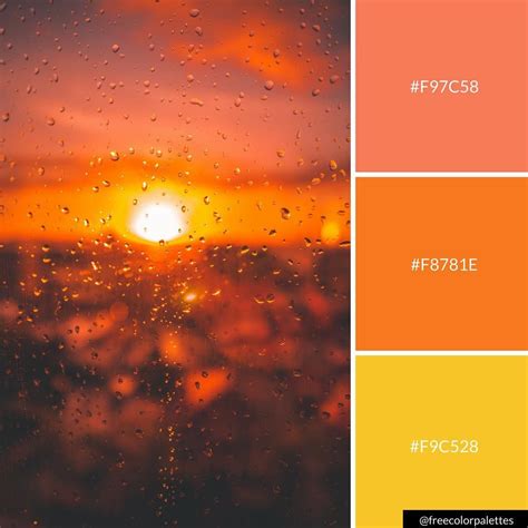 Orange Sunset Sunrise Summer Color Palette Inspiration Digital
