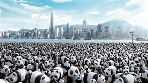 If You Walk Around Hong Kong And Find This Papier Mâché Panda Invasion
