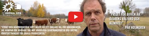 Stellan skarsgårds rollfigur skickas av partiet för att undersöka vidden av katastrofen. En pärla bland urskogar - Sveriges Natur