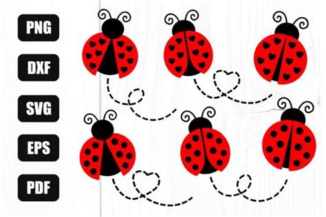 Ladybug Svg Bundle Lady Bug Svg Graphic By Litkedesigns Creative Fabrica