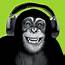 Funky Monkey Audio Lectures  YouTube