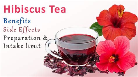 Hibiscus Tea Benefits And Side Effects Health Benefits Of Hibiscus Tea