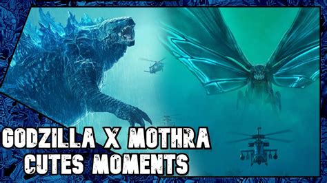Godzilla X Mothra Cutest Moments Youtube